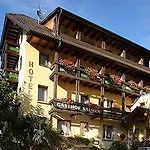Hotel Salmen 3*