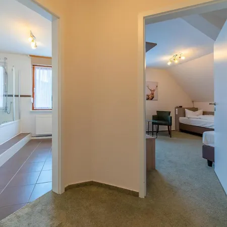Hotel Salmen Oberkirch (Baden)