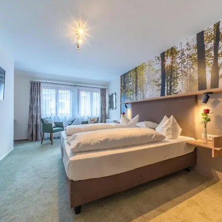 Salmen 3* Oberkirch (Baden)