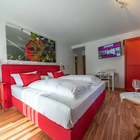 Salmen Hotel 3*