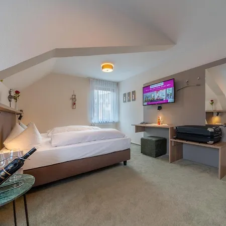 Hotel Salmen 3*