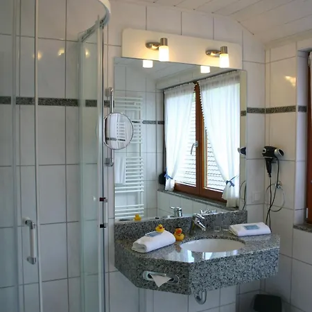 Hotel Salmen