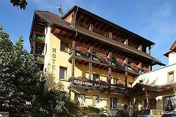 Hotel Salmen 3*